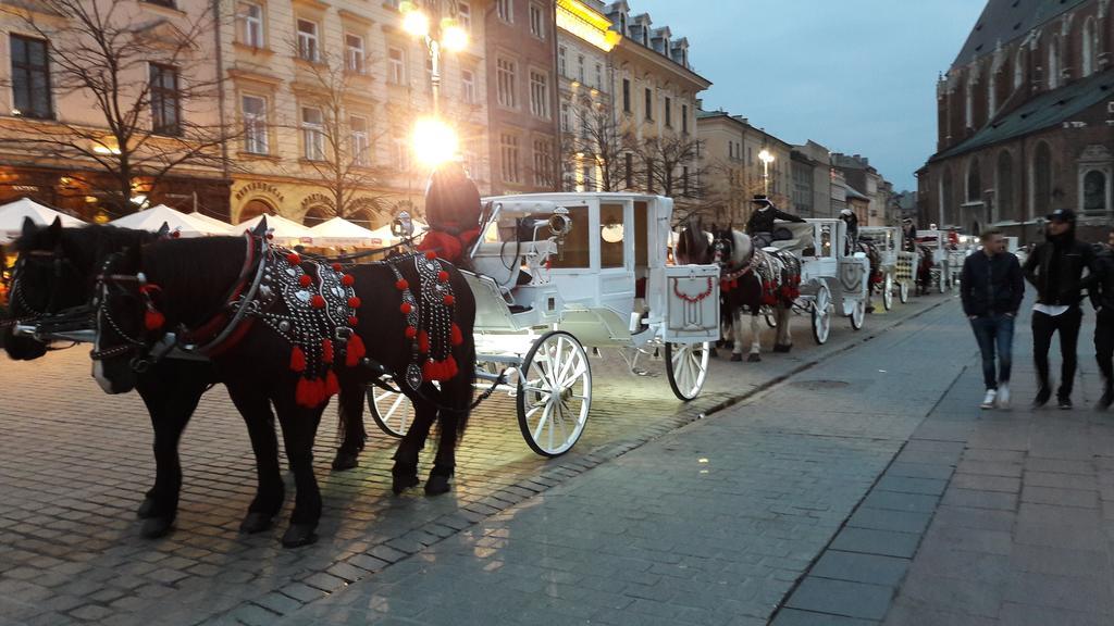 Apartament Feniks Stare Miasto Krasków Dış mekan fotoğraf